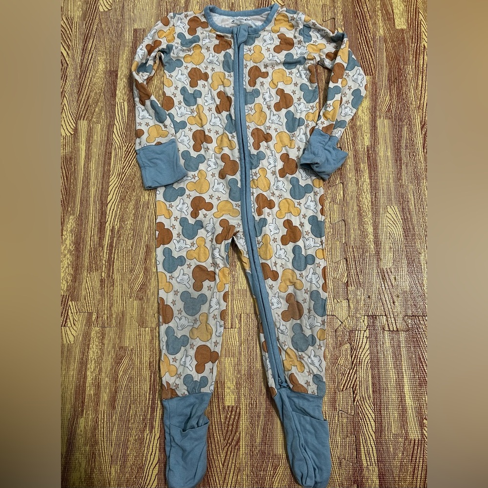 Disney Bamboo Zippy